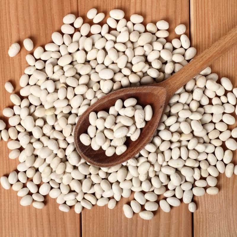 Navy Beans Navy Beans